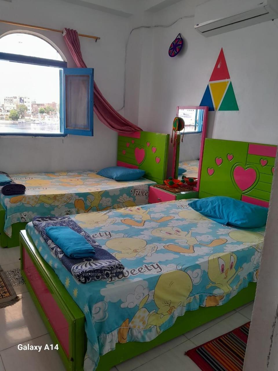 Nile View Rana Nubian Guest Houes Otel Asvan Dış mekan fotoğraf